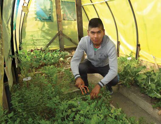 Brayan, a 17-year-old from Bolivia, squats next to garden beds inside a greenhouse.