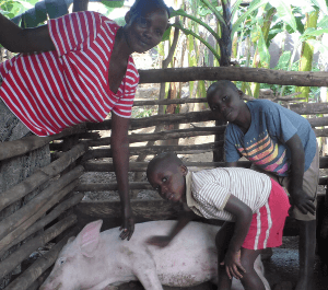 A women and her two sons pet their pig