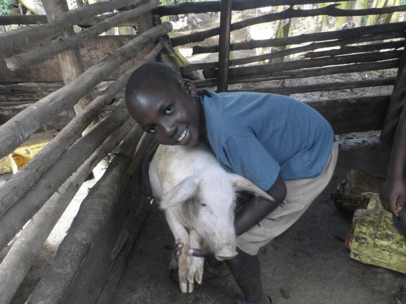 A young boy smiles as he cuddles his pig