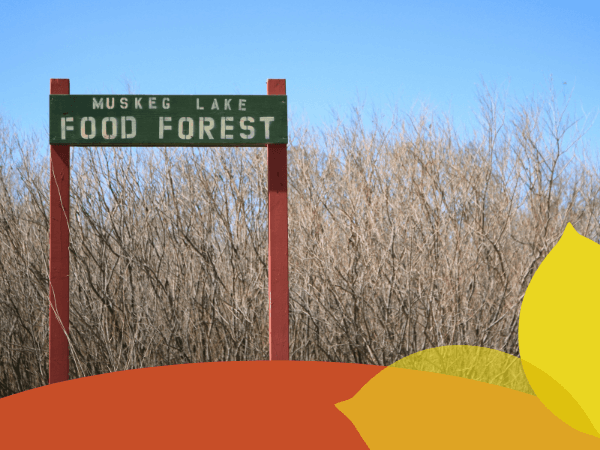 Muskeg lake food forest sign