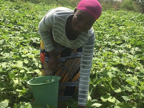 Madam Ayisha, Farmer, Ghana