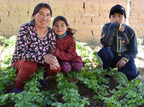 Bolivian family in their veggie garden